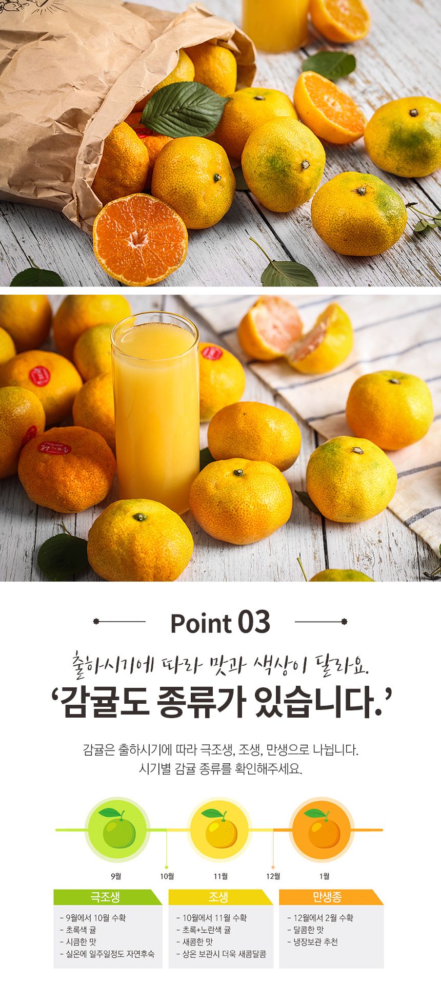 상세 이미지 6